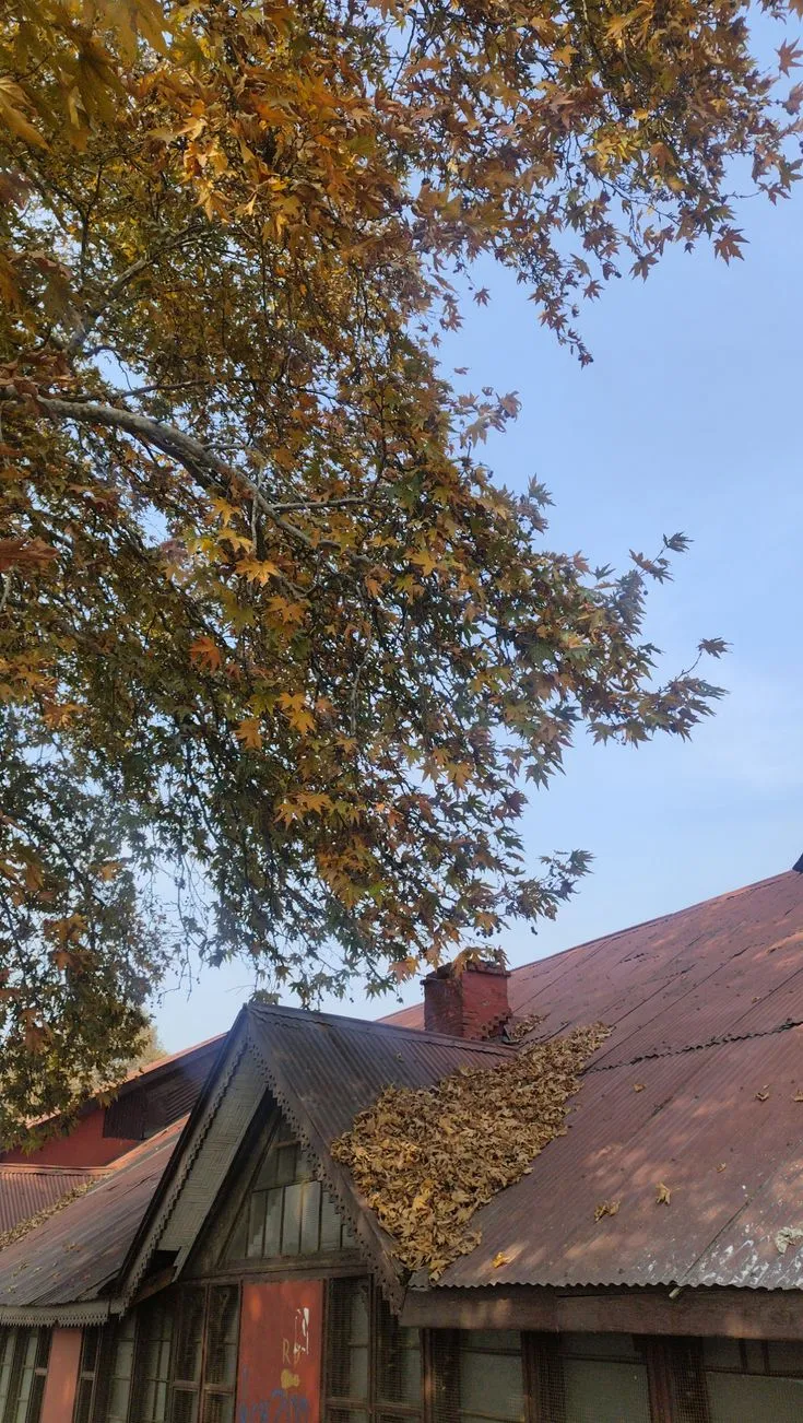 Building for the Terrain: The Importance of Seismic-Resilient Architecture in the Valley